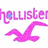 Pink Hollister text with blue dots above a pink seagull on white background, animated to show wing movement.