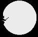 Black silhouette of a witch on a broomstick against white circular backgrounds, transitioning from partial to full visibility across frames.