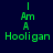 Green text on dark blue background displays "I Am A Hooligan" with green rectangular bars shifting positions across frames.