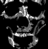 A grayscale animated sequence showing a stylized skull with the word HAVOK overlaid, transitioning from blurred to sharp text and clearer facial features.
