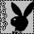 Six -aligned display a black bunny silhouette with a white eye against a gray background, each featuring vertical "PLAYBOY" text in distinct colors