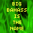 Yellow pixelated text on a green background reads "BIG BAHASS IS THE NAME" in two vertical with one partially obscured by gray