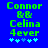 Green pixelated text on blue background reads 'Connor & & Celina 4ever' with light blue star-like symbols below, showing two animation states.