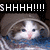 A cat with white and brown fur peeks from a blue patterned fabric under a gray hood, displaying shifting expressions across frames.