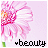 A pink flower with white and red petals on a light purple background, accompanied by the text 'beauty' in pixelated font.