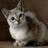 A pixelated cat with a confused expression next to pink text reading "rawr?" on a white background.