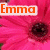 A static image of four flower-themed sections with text overlays: orange 'Emma' on a pink daisy, purple 'Wuz' on an orange-pink bloom, and pink 'Here' on a light pink hibiscus-like flower.