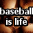 Pixelated text reads "baseball is life" over a blurred background of brown and orange tones.