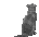 Static grayscale image of a seated cat with tail extended, viewed from side angles across multiple