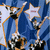 Animated contact sheet showing cheerleading-themed icon frames with text elements and color blocks.
