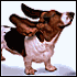 Pixelated dog with brown and white fur stands facing right, ears flopped forward, mouth closed, on a plain light background.