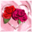 Two red roses with green leaves inside a heart-shaped frame on a pink background.