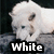 A white wolf-like animal with blue eyes appears in three , each displaying different text overlays