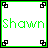 Two side-by-side pixelated icons display the name 'Shawn' with contrasting color schemes and corner decorations.