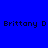 Four display 'Brittany D' text on solid blue, teal, green, and dark teal backgrounds with no animation
