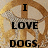 A pixelated image with a golden circular pattern background and black text reading "I LOVE DOGS, anddd gold." in four lines.