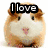A pixelated collage of four animal images with overlaid text: a guinea pig, kittens, and a horse.