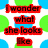 Red text on a white background with green and blue circular patterns, displaying lyrics from 'She's Got Me' by Lifehouse.