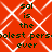 Red background with white geometric pattern and repeated dark green text reading "sal is the coolest persooliest person ever".