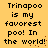 Yellow background with black pixelated text reading "Trinapoo is my favorest poo! In the world!" repeated twice in a