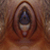 A pixelated close-up of a human eye with a brown iris and dark pupil, surrounded by blurred skin tones.