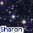 A starry night sky background with three instances of the name 'Sharon' in different colors and styles, including blue text on white, cyan text on white, and white text on blue.