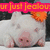 A pig with an orange flower on its head appears in four , with text above the first