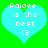 Two identical cyan hearts on green background with white pixelated text reading "Paigee is the best <3" inside each heart.