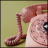 Animated sequence of a pink rotary telephone icon with changing text labels and symbols on a light green background.
