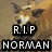 A four- shows a dog's face with text overlays; the top-left displays 'R.I.P NORMAN' while the bottom-left shows '3/18/08', and the right are empty