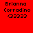 Four identical red square each display "Brianna Corradino (3333)" text with a white bar shifting position across the