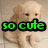 A light-colored puppy sits on a tiled floor with green text reading "so cute" overlaid in the top-left frame.