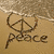 Animated icon shows a peace symbol drawn in sand with the word 'peace' below it, transitioning to a beach scene with waves and a rainbow-colored heart.