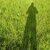 A static image of a tall, dark green tree-like shape against a pixelated yellow-green background with scattered darker green patches.