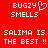 Red background with white pixelated text reading "BUGZY SMELLS SALIMA IS THE BEST !!" in two identical , one featuring a heart symbol replacing the 'Y' in BUGZY