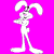 A white cartoon rabbit with long ears and pink accents on a bright magenta background, shown in multiple poses across six