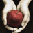 six distinct images: hands holding a red apple, black-and-white group portraits, a grayscale crowd, a color scene with two people, and text reading "O.C.D Obsessive Compulsive Disorder (BITE ME)"