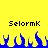 Yellow background with two identical black text labels 'Selormk' above blue pixelated flame shapes.