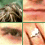 Animated sequence showing a person's face in multiple cropped views with changing expressions and a hand holding a ring.