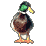 Pixelated duck with green head, yellow beak, brown body, white neck ring, orange feet standing on gray background.