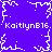 Pixelated purple background with white snowflake-like patterns and repeated text 'KaitlynB16' in white pixel font.