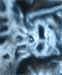 Animated sequence showing text and symbols changing against a blue-gray abstract background with white lines.