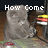 Pixelated gray cartoon character with large ears sits at a desk with stacked books, displaying changing text above its head.