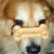 A pixelated dog face with a bone across its mouth on the left, next to green text reading 'Original Icons .com' on a dark background.