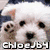 Four dog images arranged in a with text overlays: top-left white dog with paw print, top-right brown dog, bottom-left golden retriever, bottom-right empty space