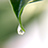 Flickr: The Help Forum: Can't see any images (China June 7th 12.30pm) 中国－看不见图片