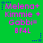 Green background with repeated pink text reading "Melena+ Kimmie+ Gabbi= BF4L" and blue star-shaped dots in corners.