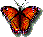 Six pixelated butterfly frames on gray background: wings spread, folded downward, and side view with visible body segments.