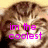 A cat's face with pixelated text overlays in four quadrants, each displaying different phrases.