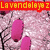 Animated sequence showing the text 'Lavendelaya z' in different colored borders over a pink floral background with dark branches.